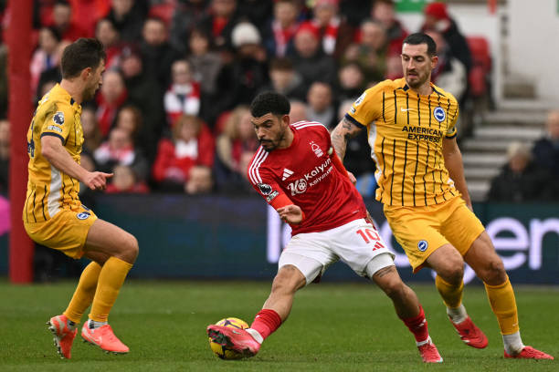 到心理素质 到心理素质